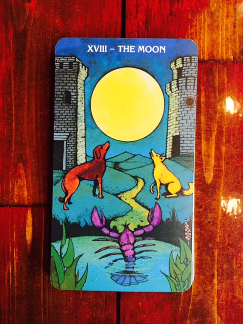 FullSizeRender (33).jpg